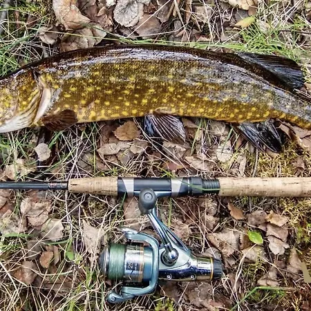 Villa Wanda Savonlinna