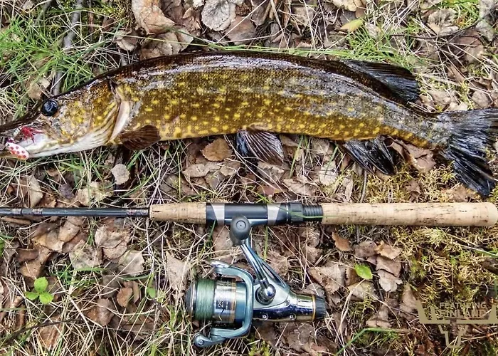 Villa Wanda Savonlinna