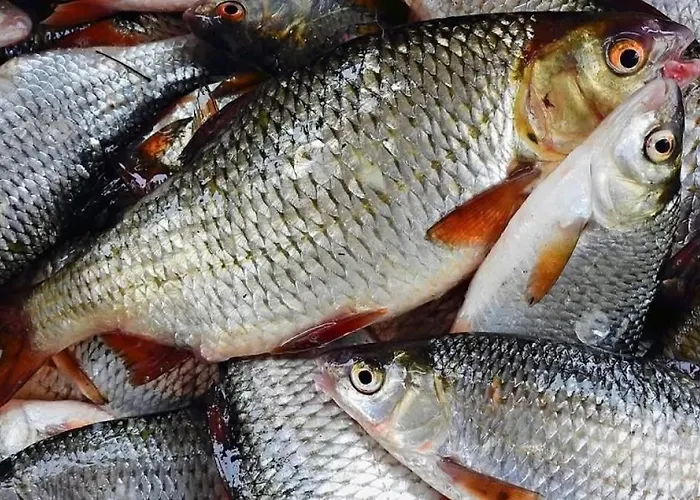 Wanda Villa Savonlinna